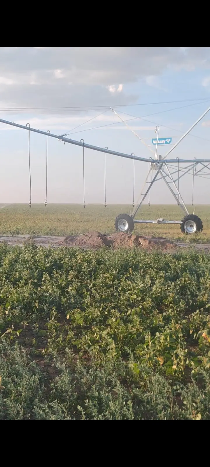 Фотография проекта Акназар-Жайык 12