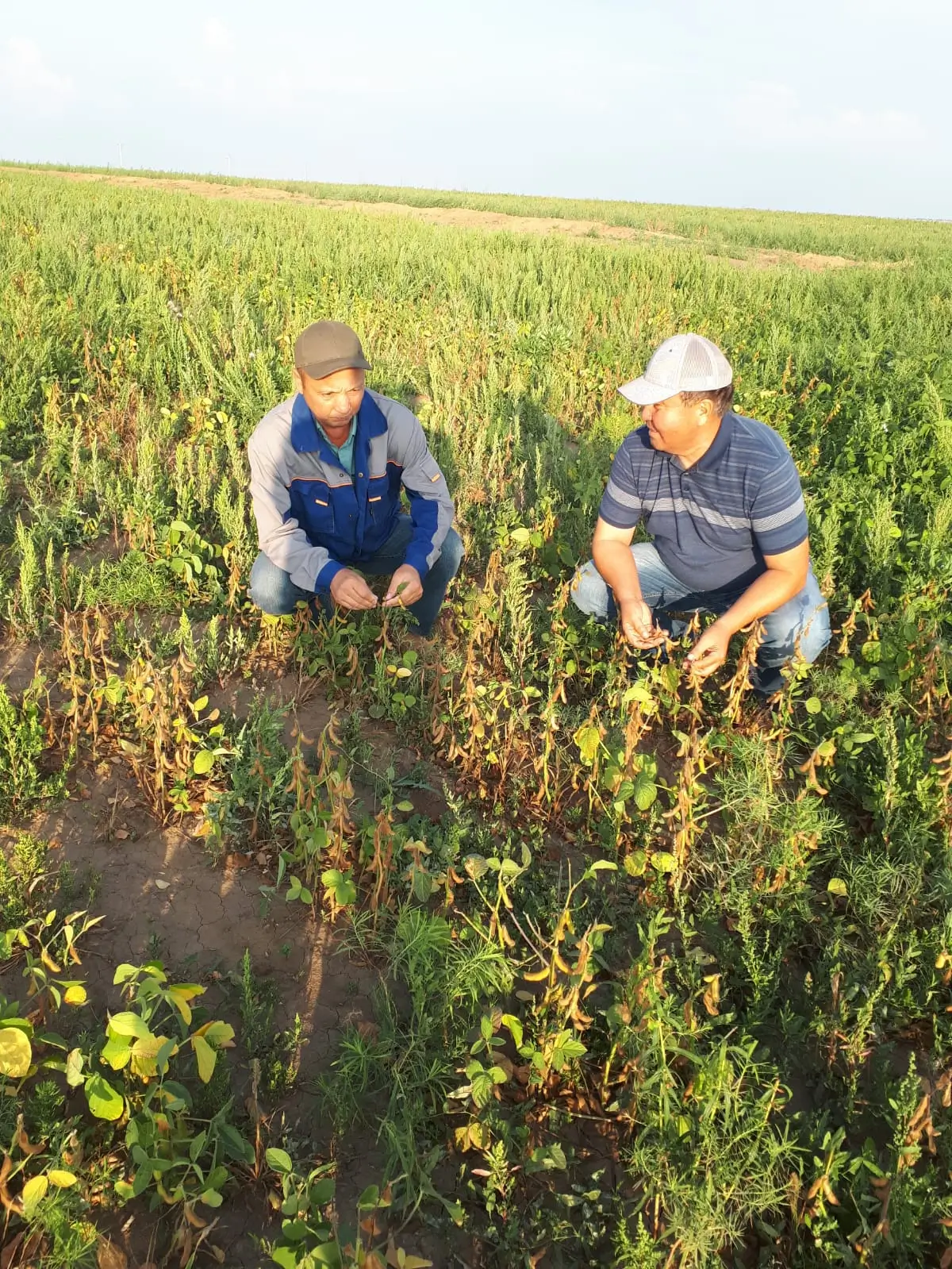 Фотография проекта Акназар-Жайык 3